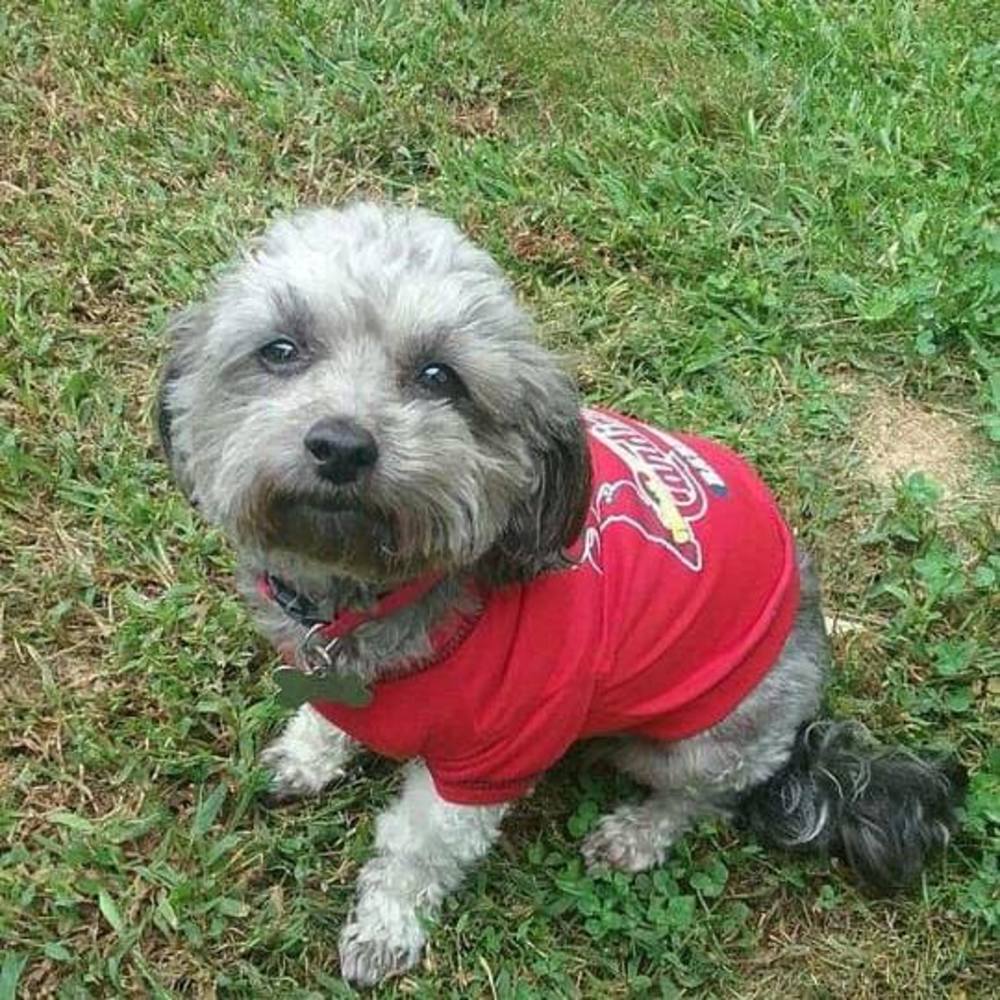 Meet your Posher, Dave